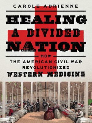 cover image of Healing a Divided Nation